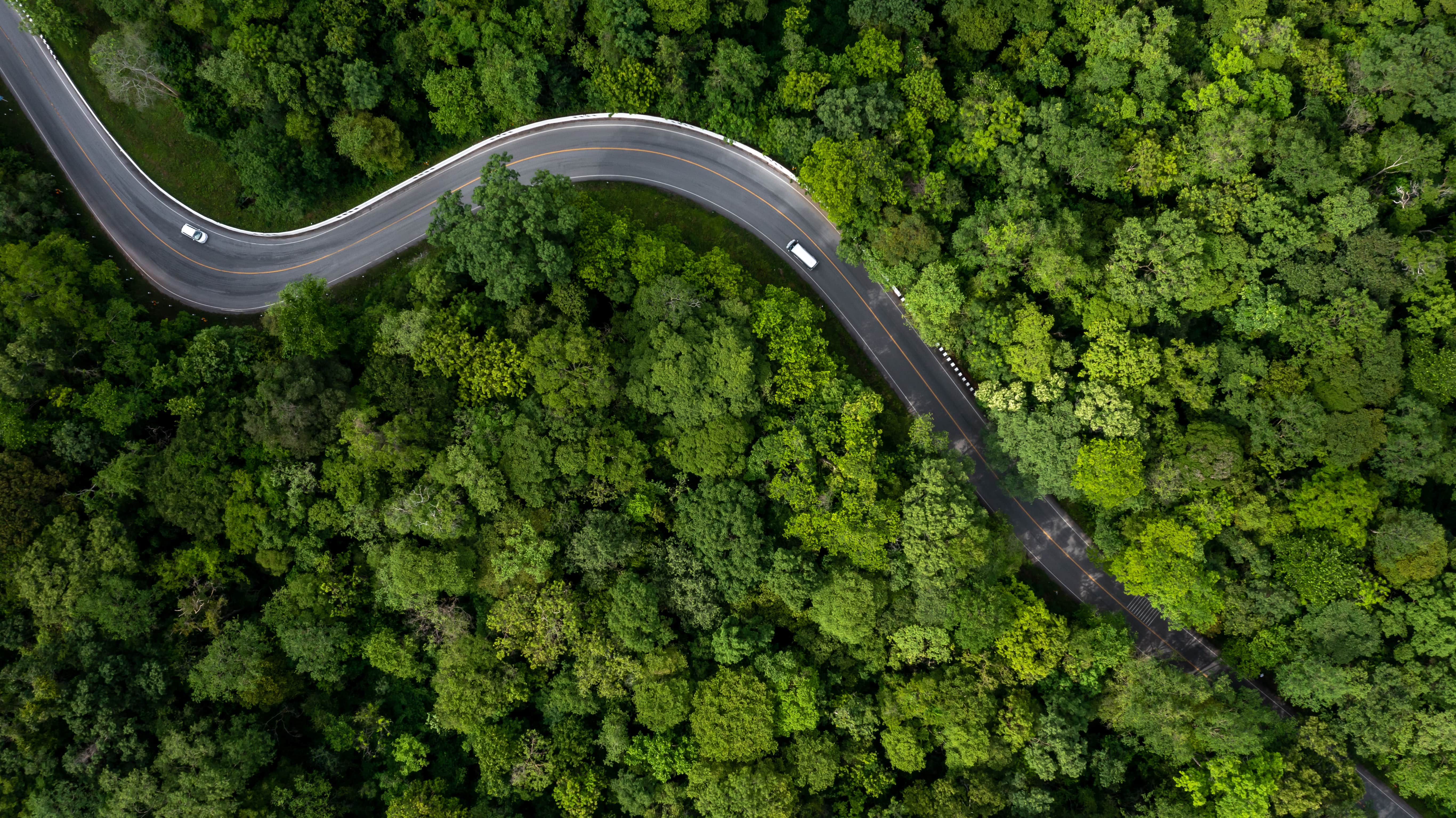 cars driving on road